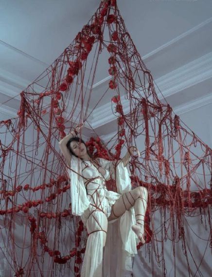 女人的世界