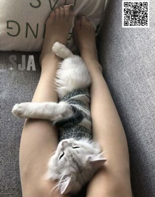 泰剧2024最新泰剧在线观看