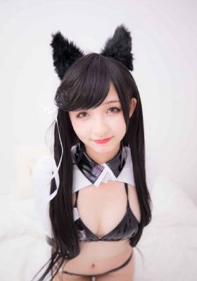 忍者之路